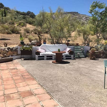 Cortijo Nuevo Alojamiento Rural Cuevas del Becerro Екстериор снимка