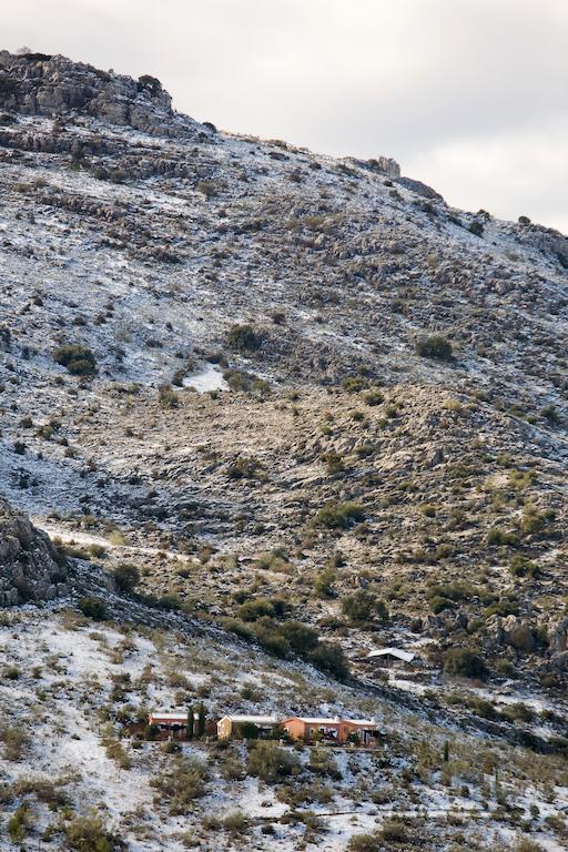 Cortijo Nuevo Alojamiento Rural Cuevas del Becerro Екстериор снимка