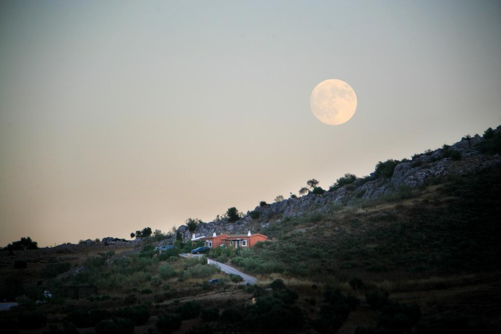 Cortijo Nuevo Alojamiento Rural Cuevas del Becerro Екстериор снимка